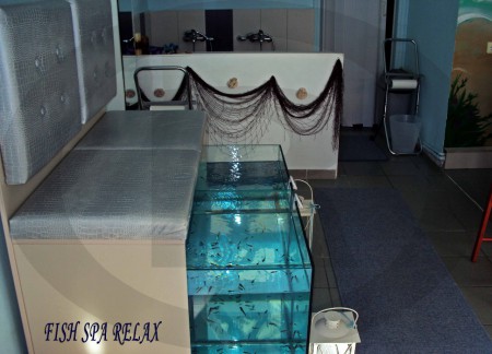 The Cleanest Fish Spa Aquariums