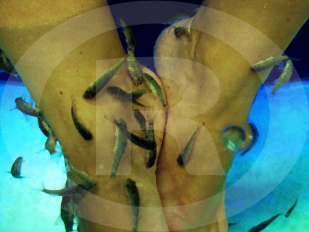 Fish Spa_Feet