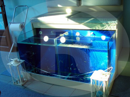 Fish Spa Relax_Aquariums